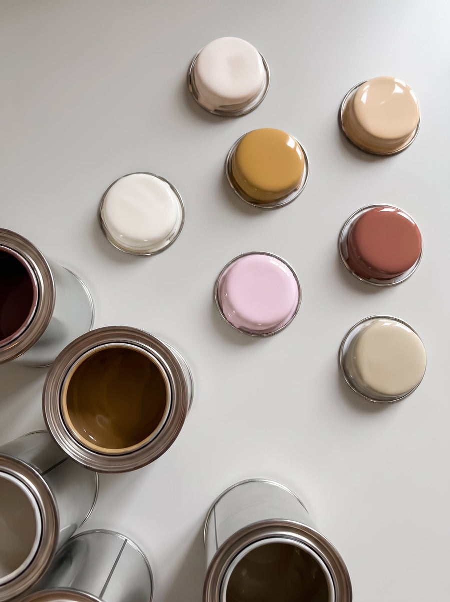 SPINDER DESIGN WALLPAINTS